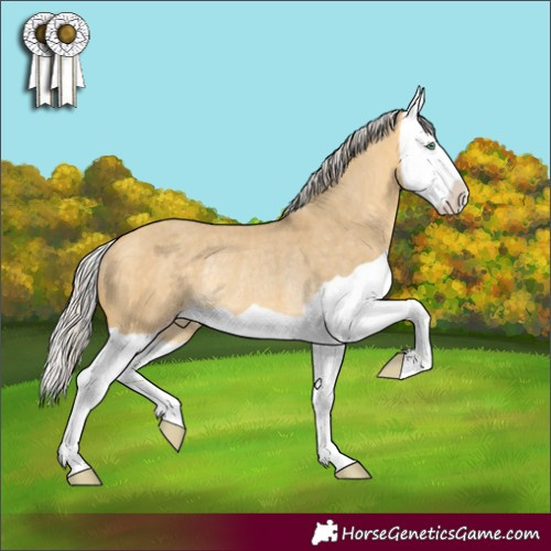 Horse Color:Silver Sable Cream Champagne Dun Splash Rabicano 