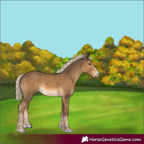 Horse Color:Chocolate Palomino