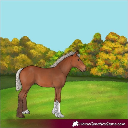 Horse Color:Silver Bay Tobiano Rabicano