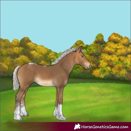 Horse Color:Silver Buckskin Tobiano