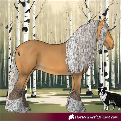 Horse Color:Silver Buckskin Tobiano Rabicano 