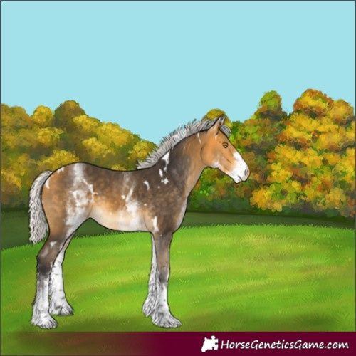 Horse Color:White Spotted Silver Buckskin Rabicano