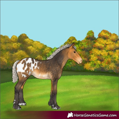 Horse Color:Silver Buckskin Blanket