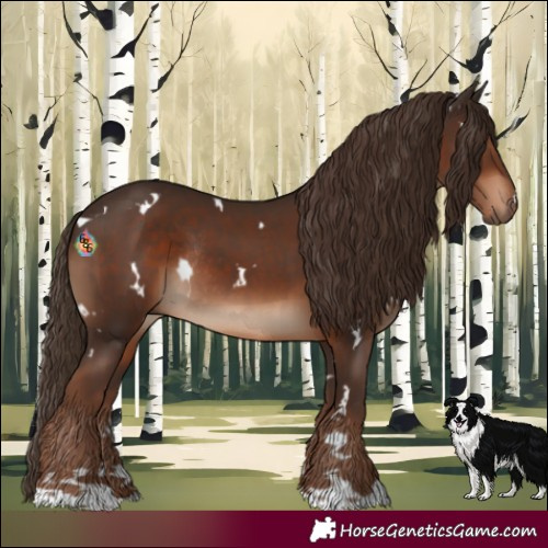 Horse Color:White Spotted Liver Chestnut Rabicano 
