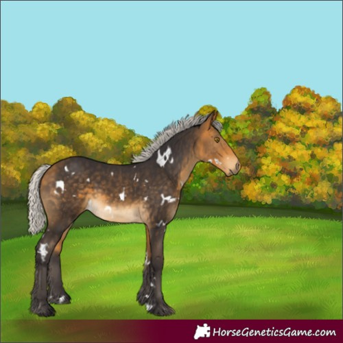 Horse Color:White Spotted Silver Buckskin Rabicano 