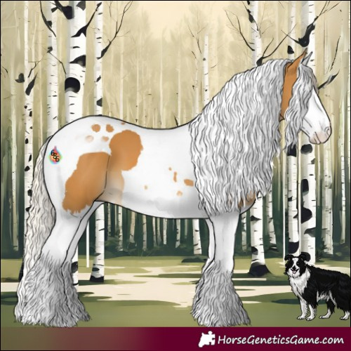 Horse Color:Palomino Splash Tobiano 