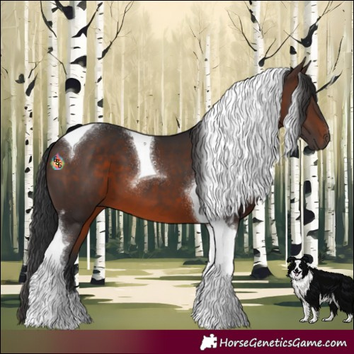 Horse Color:Brown Tobiano 
