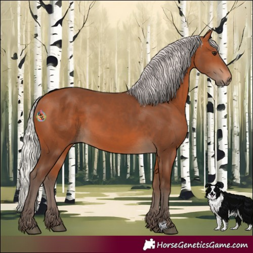 Horse Color:Silver Bay 
