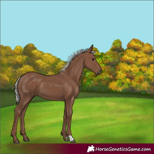 Horse Color:Silver Black 