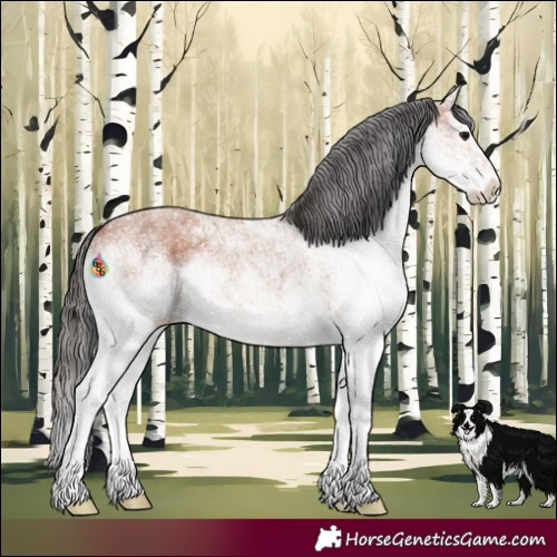Horse Color:White Spotted Bay Rabicano