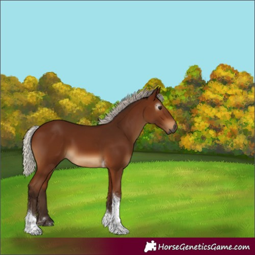 Horse Color:Gray Silver Bay Tobiano 