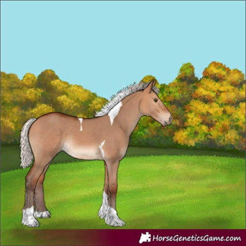 Horse Color:Silver Bay Dun Tobiano Rabicano