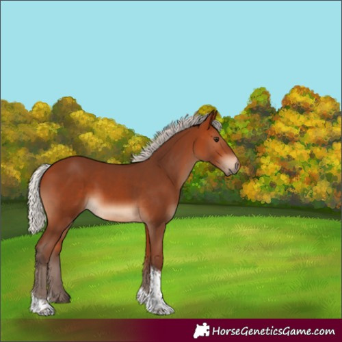 Horse Color:Silver Bay Tobiano Rabicano