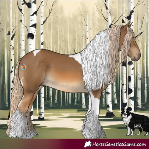 Horse Color:Chocolate Palomino Tobiano 