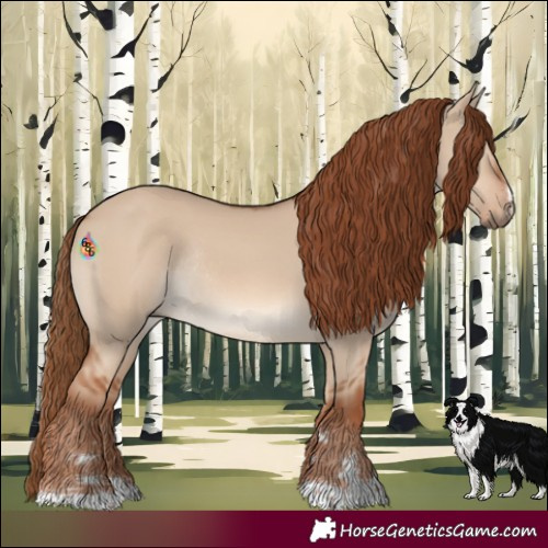 Horse Color:Red Dun Rabicano 