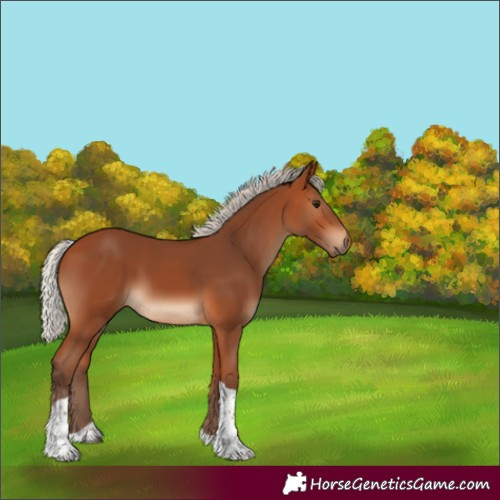Horse Color:Silver Bay Tobiano Rabicano 