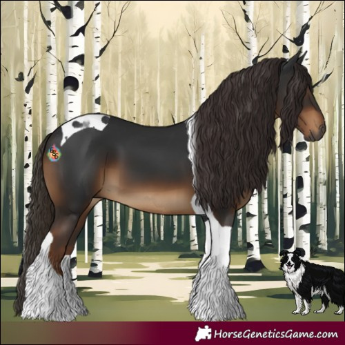 Horse Color:Gray Liver Chestnut Tobiano