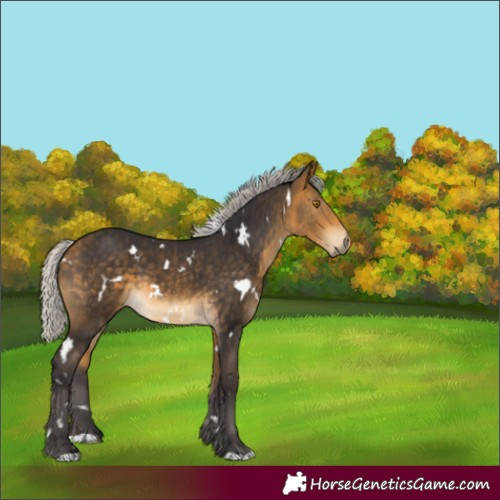 Horse Color:White Spotted Silver Buckskin 