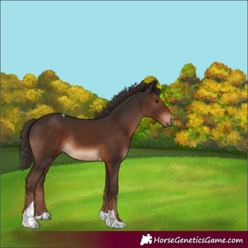 Horse Color:Liver Chestnut Tobiano Rabicano 