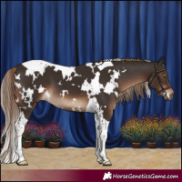 Horse Color:White Spotted Liver Chestnut Tobiano
