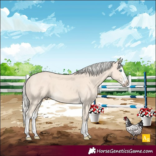 Horse Color:Cremello Splash 