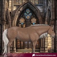 Horse Color:Silver Black 