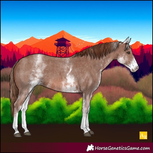 Horse Color:White Spotted Chestnut Sabino
