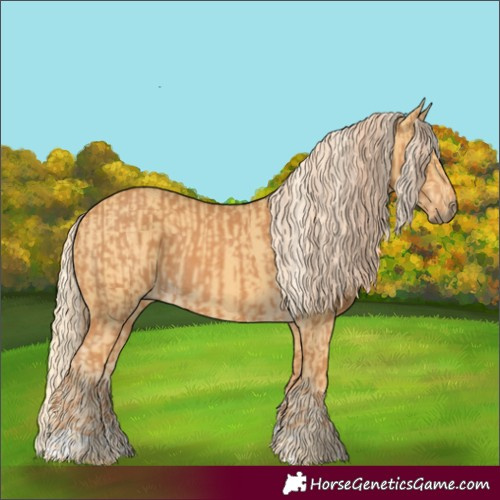 Horse Color:Chestnut  and Palomino 