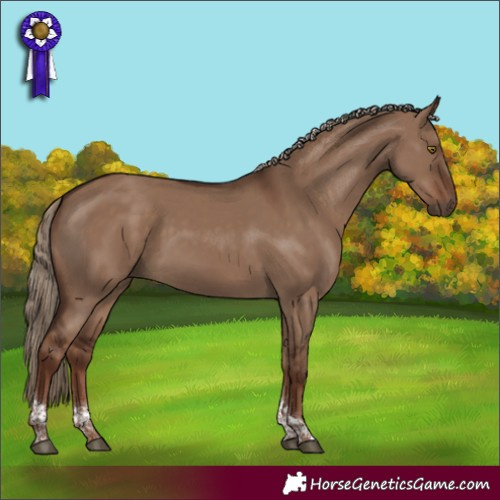 Horse Color:Liver Red Dun Tobiano Rabicano 