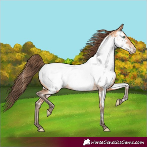 Horse Color:Amber Champagne Near Fewspot 