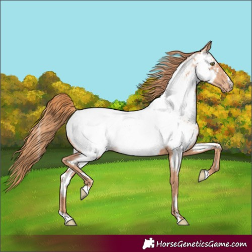 Horse Color:Gold Champagne Near Fewspot