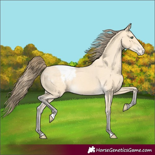 Horse Color:Amber Cream Champagne Snowcap