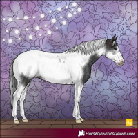 Horse Color:Brown Tobiano Frame Rabicano 