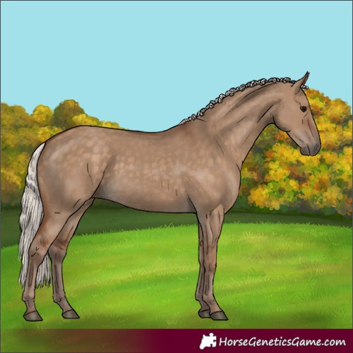 Horse Color:Silver Grullo 