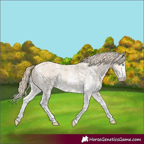 Horse Color:Perlino Sabino and Perlino Sabino
