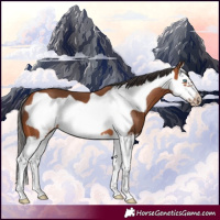 Horse Color:Bay Splash Frame 