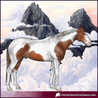 Horse Color:Chestnut Tobiano 