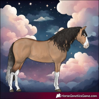 Horse Color:Bay Dun Splash 