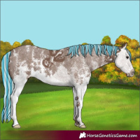 Horse Color:Painted Silver Black Sabino Splash