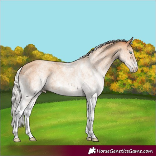 Horse Color:White Spotted Silver Amber Champagne 
