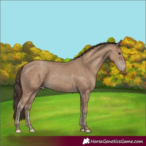 Horse Color:Classic Champagne 