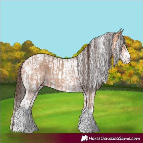 Horse Color:Amber Champagne Sabino Tobiano Appaloosa and Amber Champagne Sabino Tobiano Appaloosa
