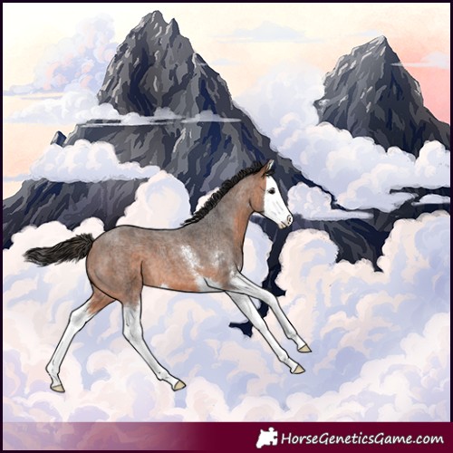 Horse Color:Bay Roan Sabino Splash