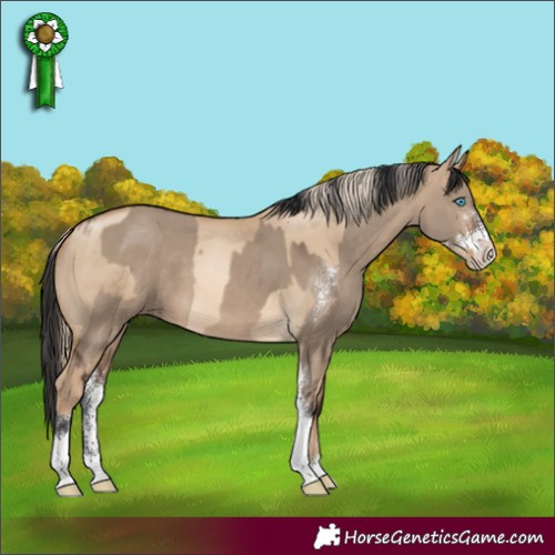 Horse Color:Chocolate Palomino Pearl Dun and Bay Dun Sabino