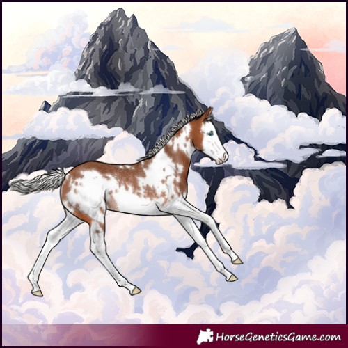 Horse Color:White Spotted Silver Brown Splash Frame Rabicano 