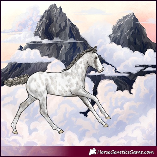 Horse Color:Silver Buckskin Roan Sabino Appaloosa