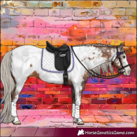 Horse Color:Gray Silver Black Pearl Sabino Appaloosa