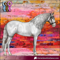Horse Color:Gray Silver Black Pearl Sabino Appaloosa