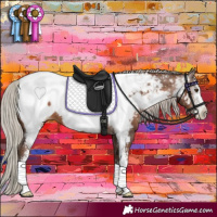 Horse Color:Gray Silver Black Pearl Sabino Appaloosa 