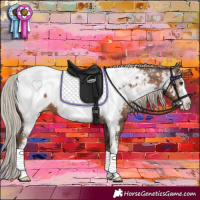Horse Color:Gray Silver Black Pearl Sabino Appaloosa